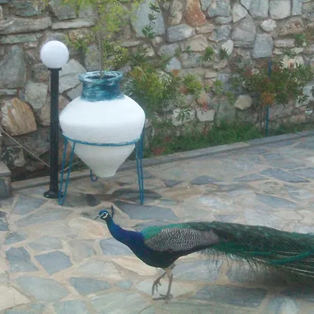 Apartahotel Aelia Koukounaries