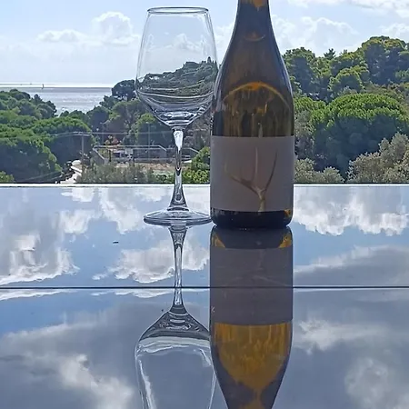 Aelia Apartahotel Koukounaries