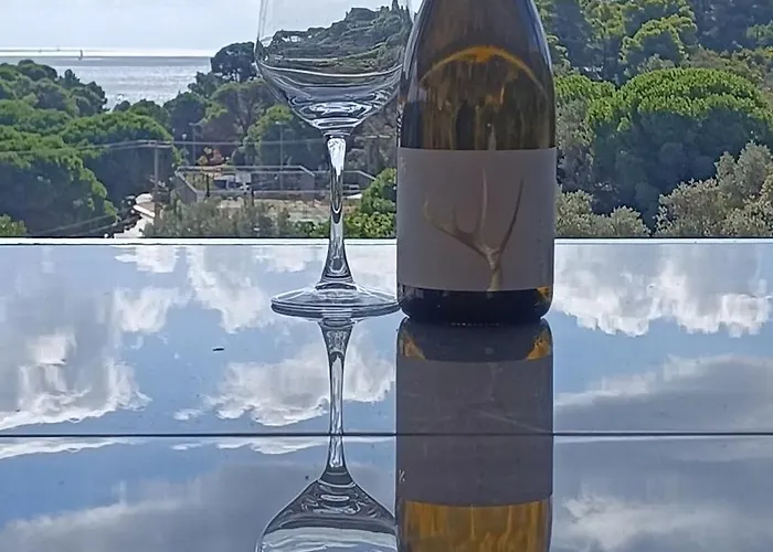 Aelia Lejlighedshotel Koukounaries