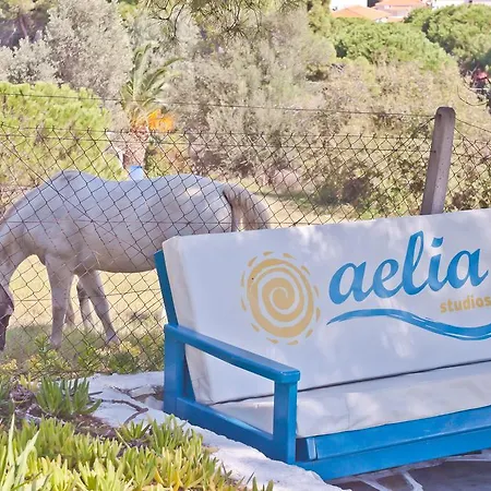 Aparthotel Aelia *