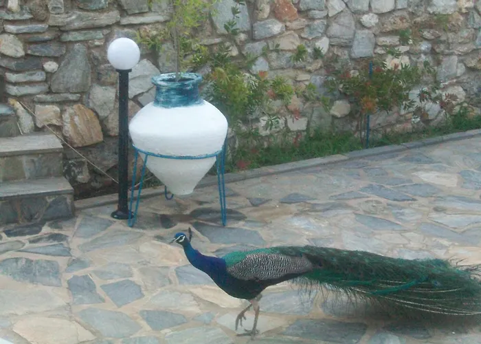 Hotel de apartamente Aelia Koukounaries